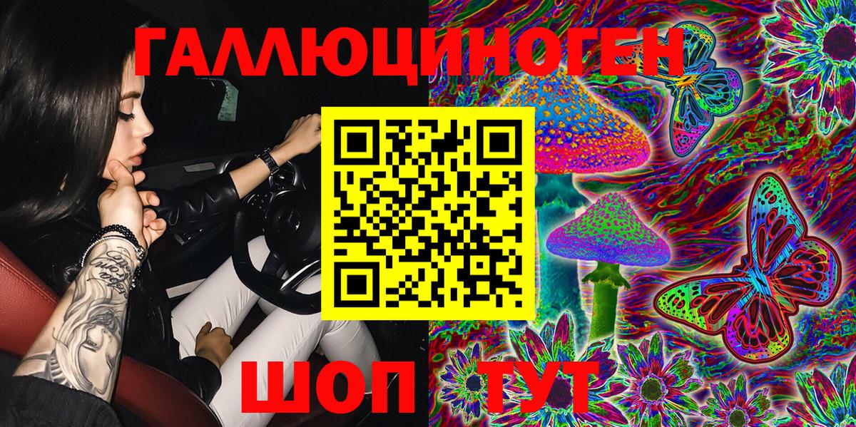 Галлюциногенные грибы Psilocybine cubensis Сорочинск