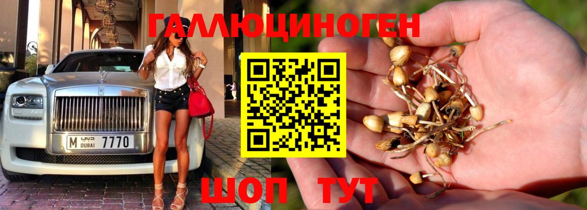 Галлюциногенные грибы Psilocybe  Галлюциногенные грибы Cubensis  что такое наркотик  Сорочинск  Вход с VPN 
